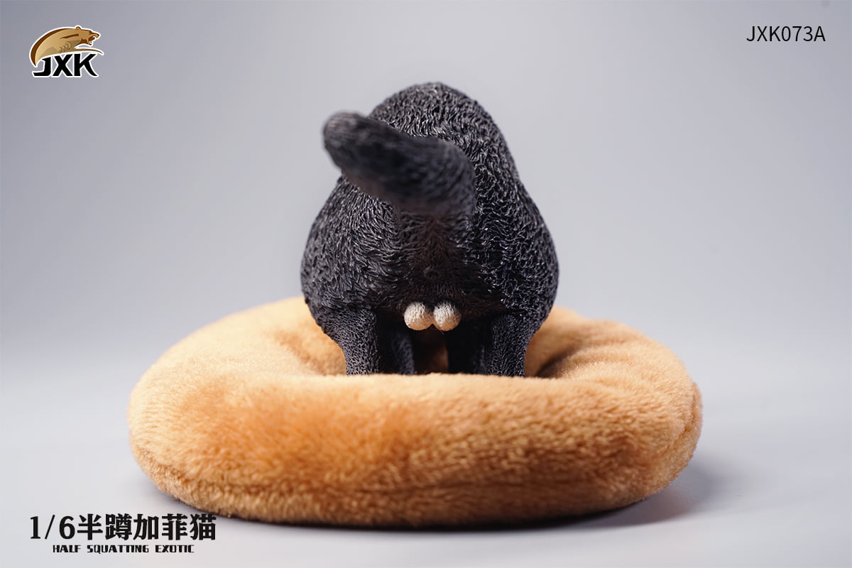 [สั่งจอง]JXK JXK073 ABCD 1/6 : Half squatting ExoticShorthair