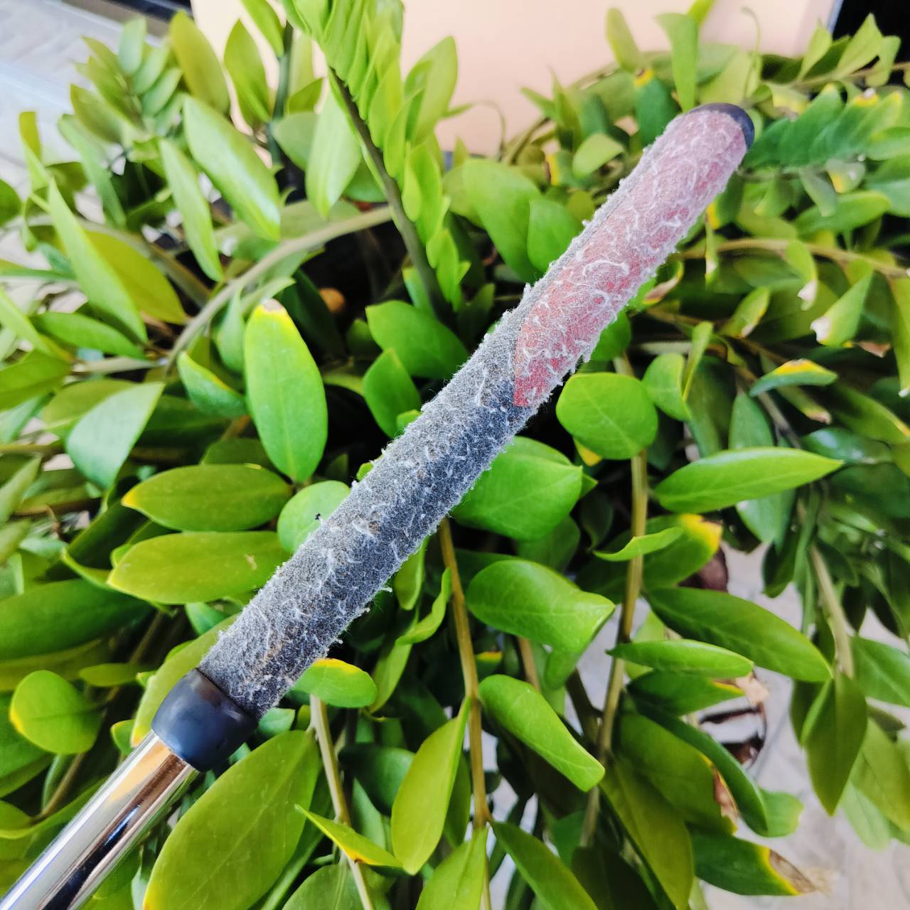 *** กริพเสือม *** PUTTER MD Golf Seve Ballesteros Players Signature Blade ยาว 34 นิ้ว สุดยอดพัตเตอร์ทรงเบลด หน้าสัมผัส MILLED ลึก เกาะไลน์สุดๆ ไม้กอล์ฟพรีเมี่ยมมือสอง ของแท้ By NakaraLuxurious