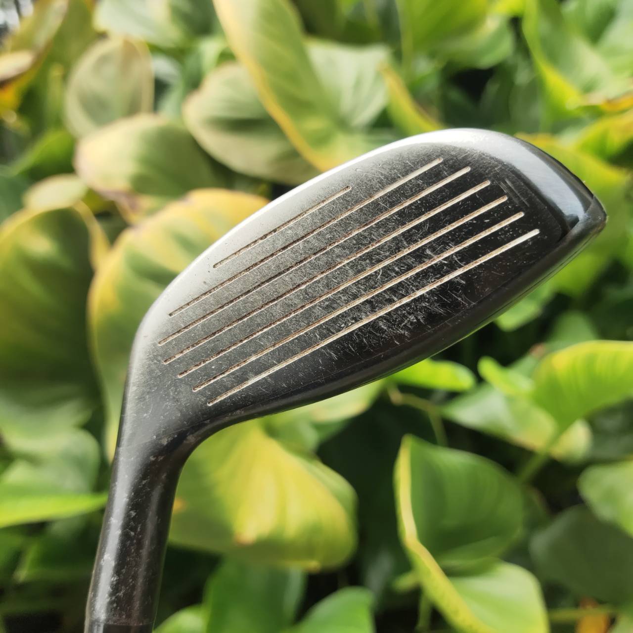 UT PING i20 องศา 20 ก้าน PROJECT X 5.5 แค่ก้านก็คุ้มเกินคุ้ม ก้านพรีเมี่ยม ชดเชยสูง แม่นธงมาก