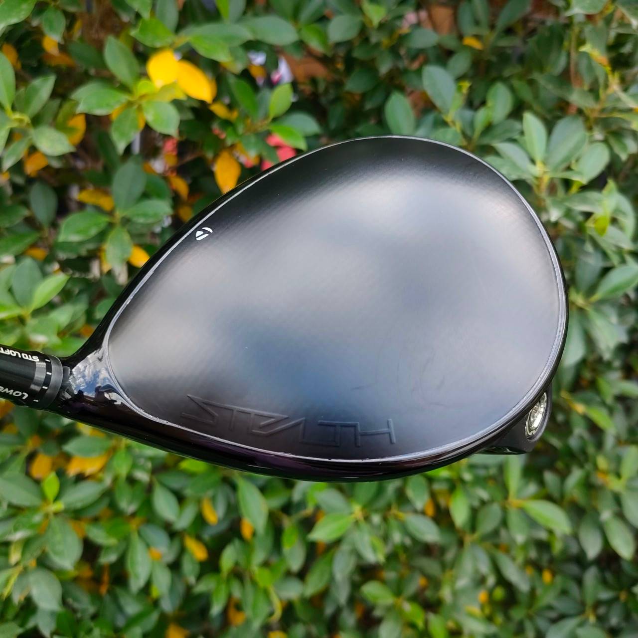 DRIVER TAYLORMADE STRATH องศา 10.5 ก้าน TENSEI TM50 FLEX R สภาพสวยนางฟ้า สุดกว่านี้ ไม่มีอีกแล้ว ด่วน!!!