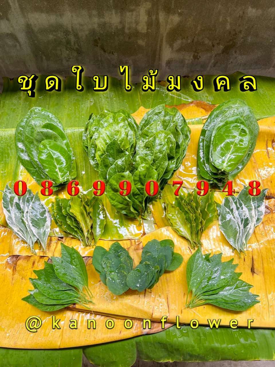 ใบไม้มงคล (พิธี)