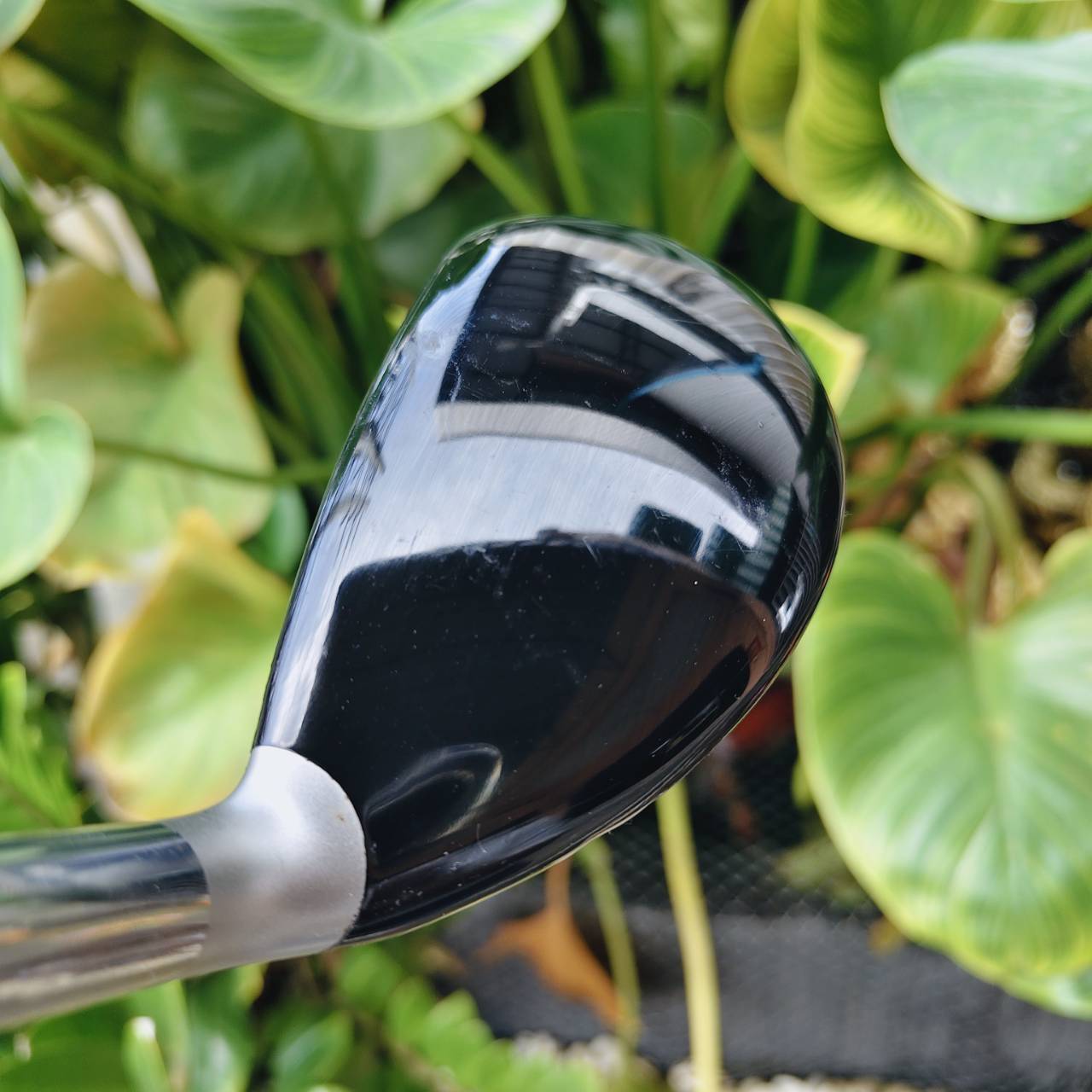 U3 Callaway LEGACY – 21° FLEX SR ตัวพรีเมียม ส่วนใหญ่เน้นตลาดใน ประเทศญี่ปุ่น
