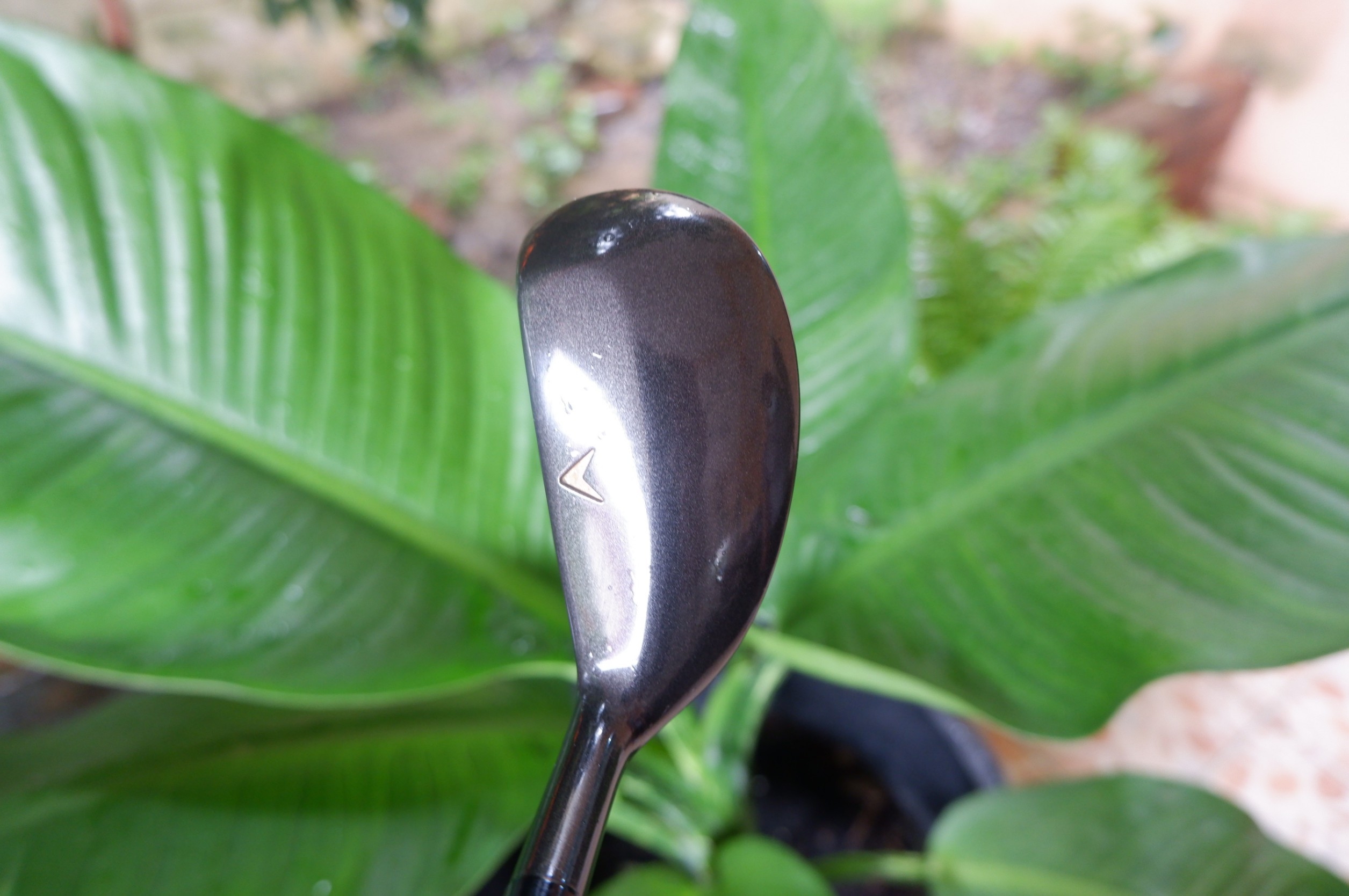 HYBRID iron wood liang.s