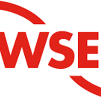 FLOWSERER VALVE