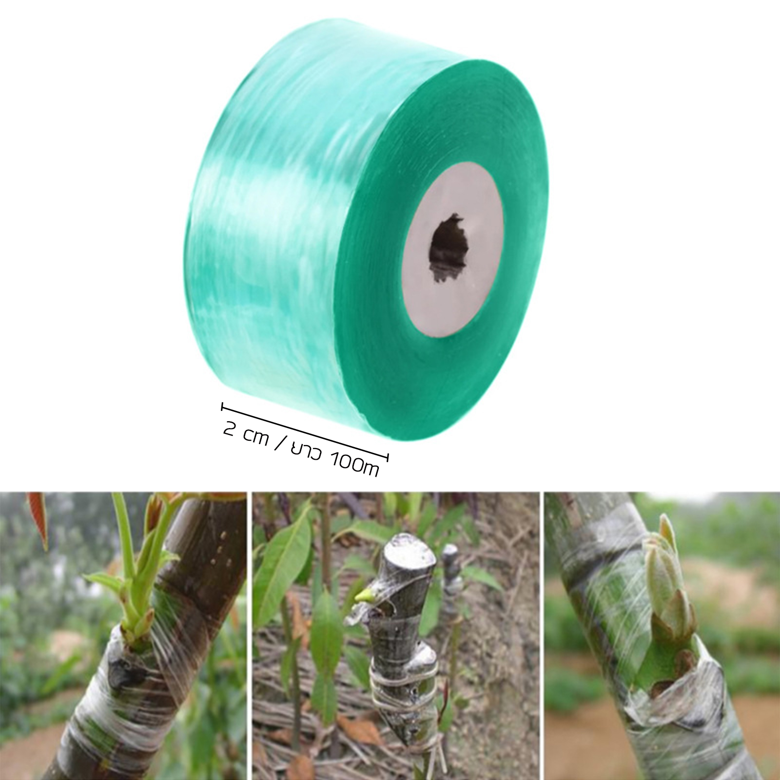 ฟิล์มใสพันตอนกิ่ง หน้ากว้าง2cm ยาว100m อุปกรณ์สำหรับทำสวน พลาสติกPE เหนียวแน่น ไม่ขาดง่าย