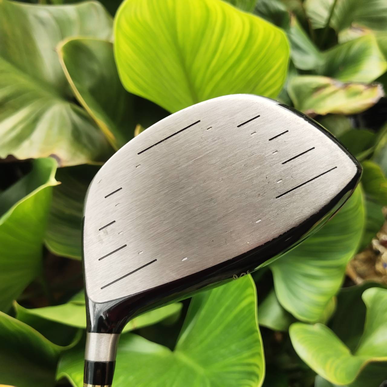 Driver KING COBRA 454 COMP UNLIMITED 10.5° กระดองคาร์บอนเคฟล่า จุด CG ต่ำ เด้งทั้งโครงสร้าง