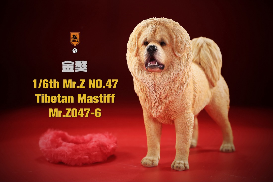 [สั่งจอง] MR. Z Animal Model MRZ047 1/6th Tibetan Mastiff