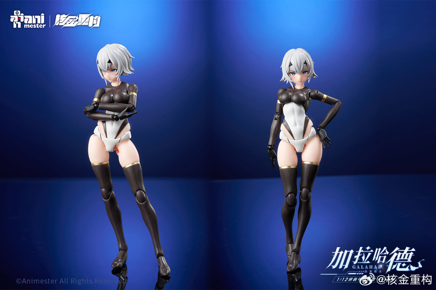 [สั่งจอง]Animester x Nuclear Gold - Model Kit 1/12 : White Dragon Knight Galahad (17Cm)