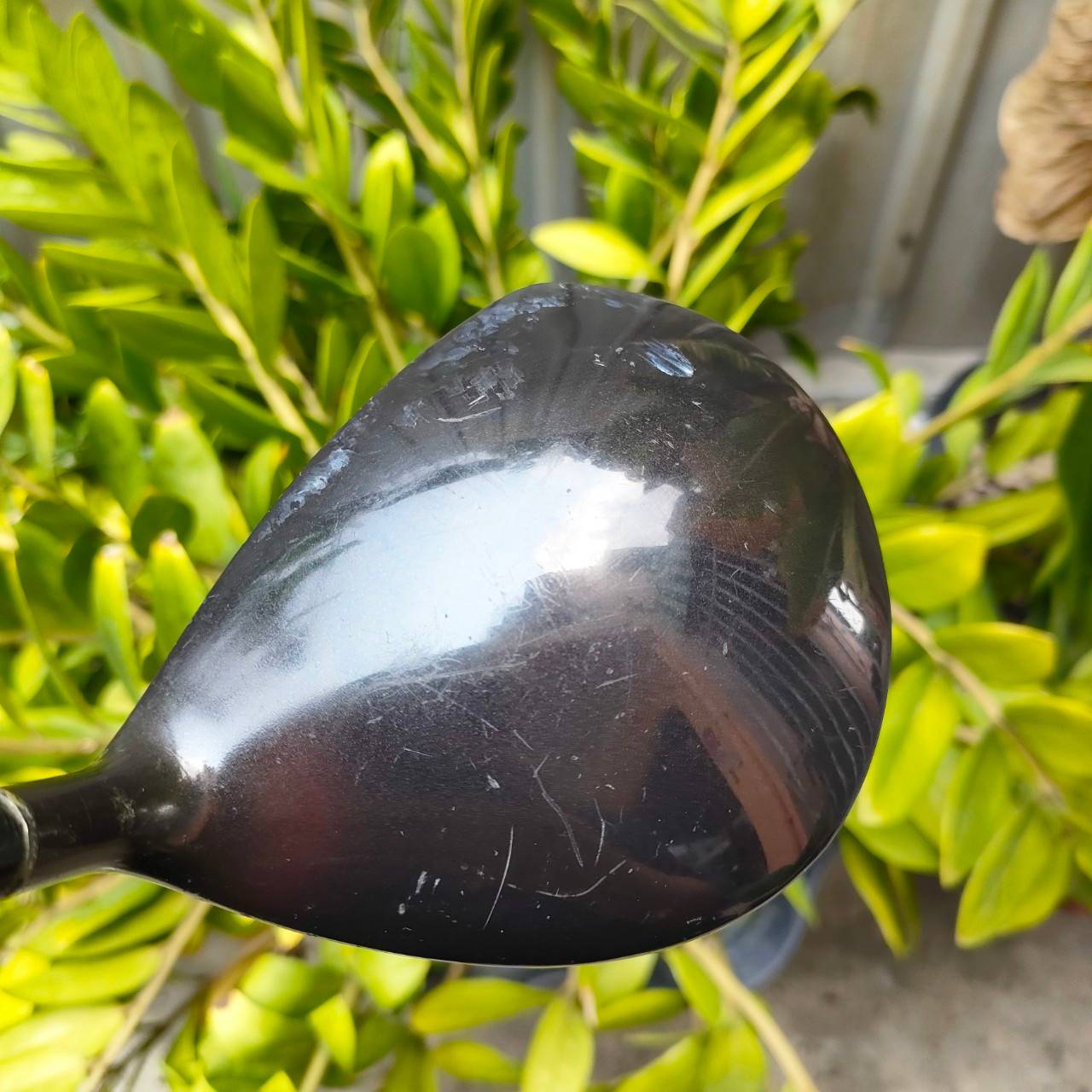 ** ไม้กอล์ฟสำหรับผู้หญิง ** DRIVER MARUMAN SHUTTLE U-4 BETA TITANIUM 330 องศา 10.5 ก้าน PARADISO FLEX L ตีง่ายและหน้าเด้งมากๆ ไม้กอล์ฟพรีเมี่ยมมือสอง ของแท้ By NakaraLuxurious