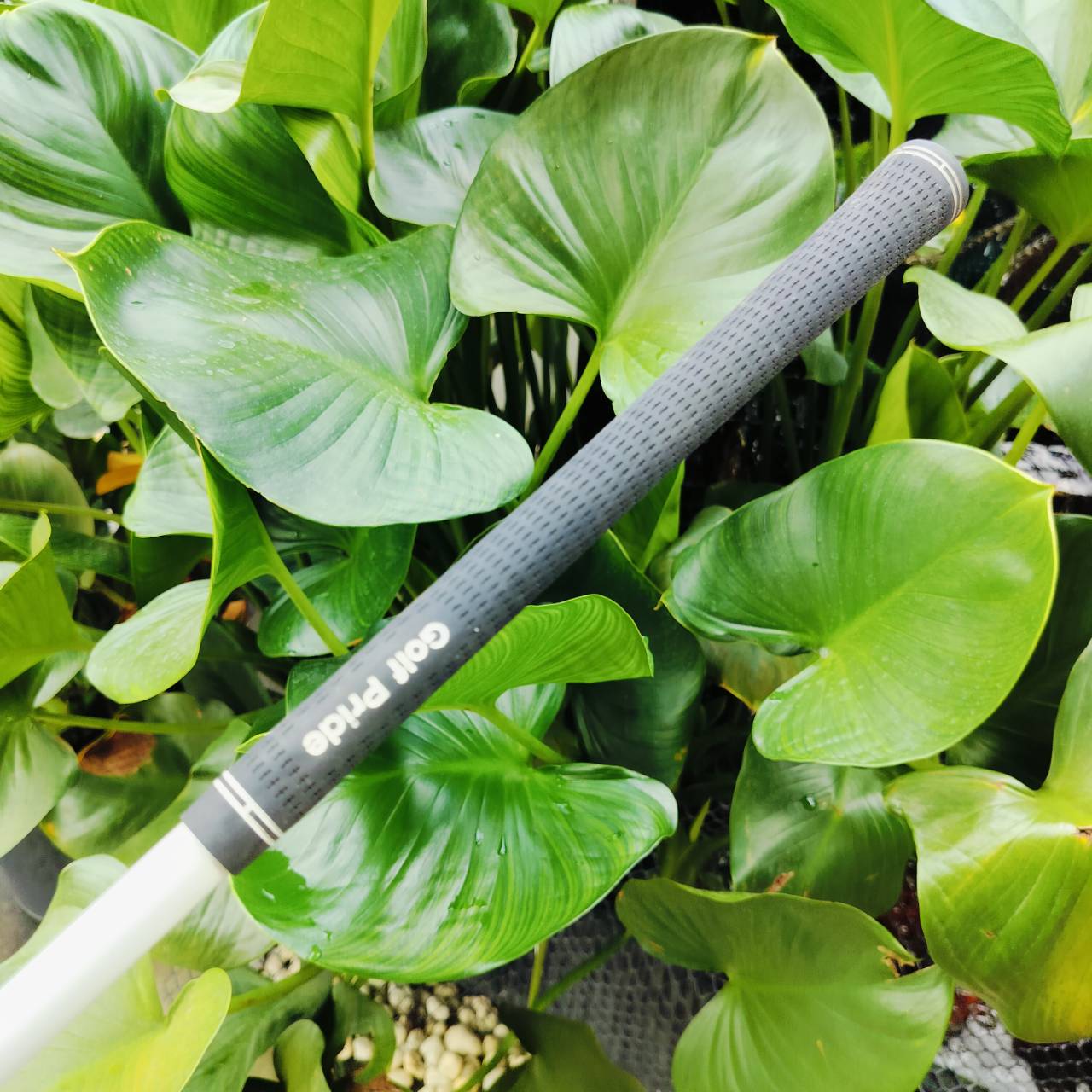 FW7 BIRTH(バース) GLAMOUR CHEER เป็นการออกแบบ SUPER DEEP ตีง่ายมากๆ ไม้กอล์ฟพรีเมี่ยมมือสอง ของแท้ By NakaraLuxurious