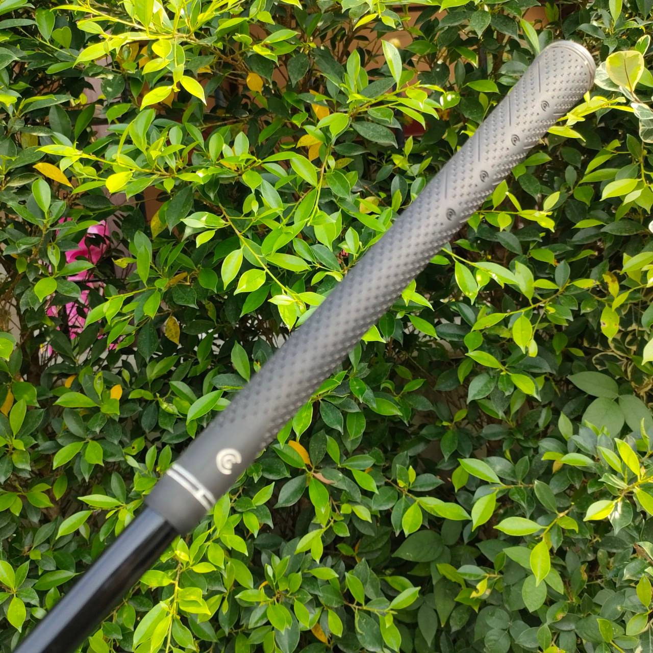 ชุดเหล็ก CLEVELAND CG4 มีเหล็ก3-9 เเละ PW ก้าน ACTION LITE FLEX A เหล็กตีง่ายมากๆ และแม่นยำมากๆ Cleveland ของดีมากๆครับ ก้านเบามาก และนุ่ม เหมาะกับท่าน ที่อยากหาไม้ที่ตีสบายๆ ตกหยุด วงไม่แรงมากนะครับ