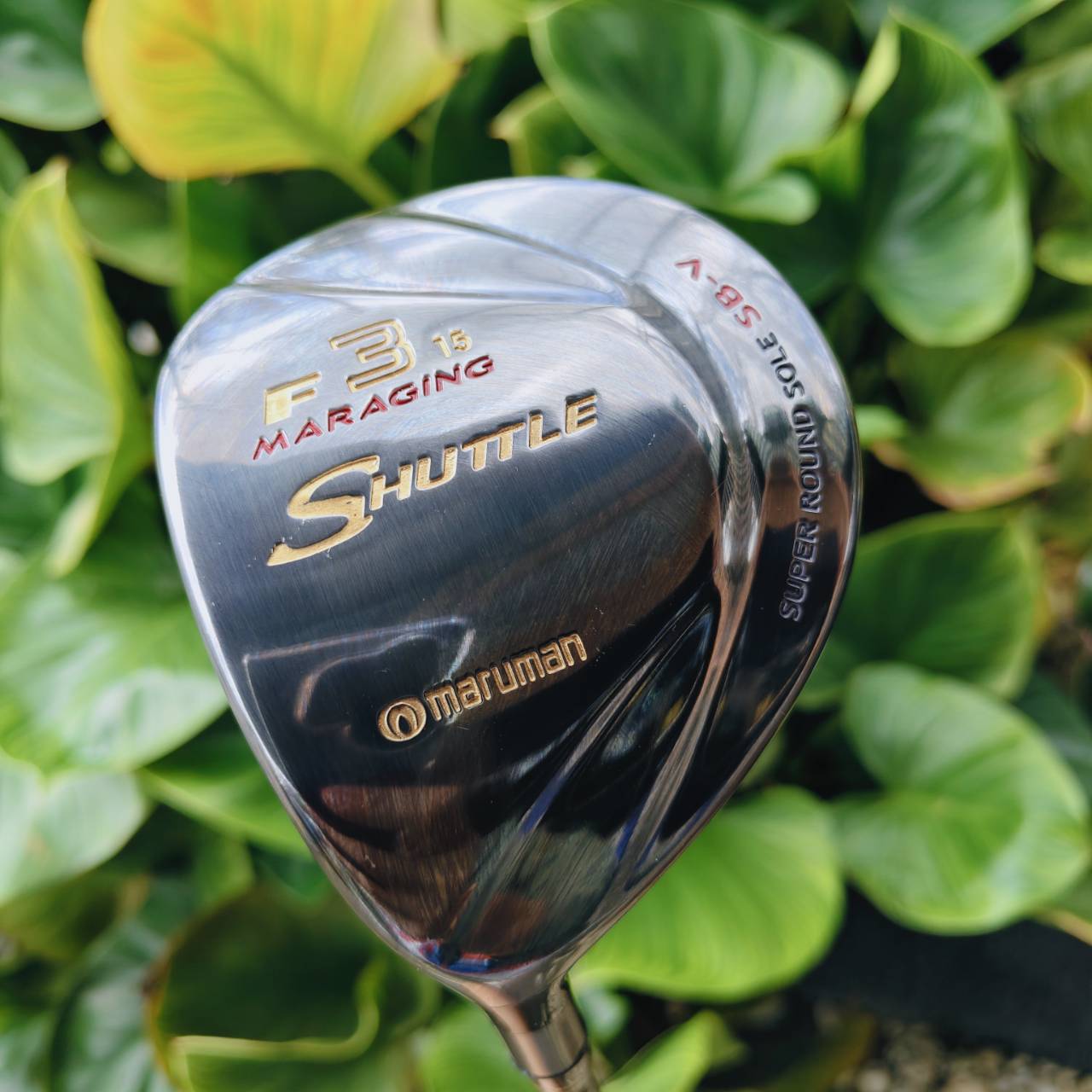 มือซ้ายตัวเด็ด!! FW3 MARUMAN SHUTTLE หน้าเด้ง MARAGING องศา 15