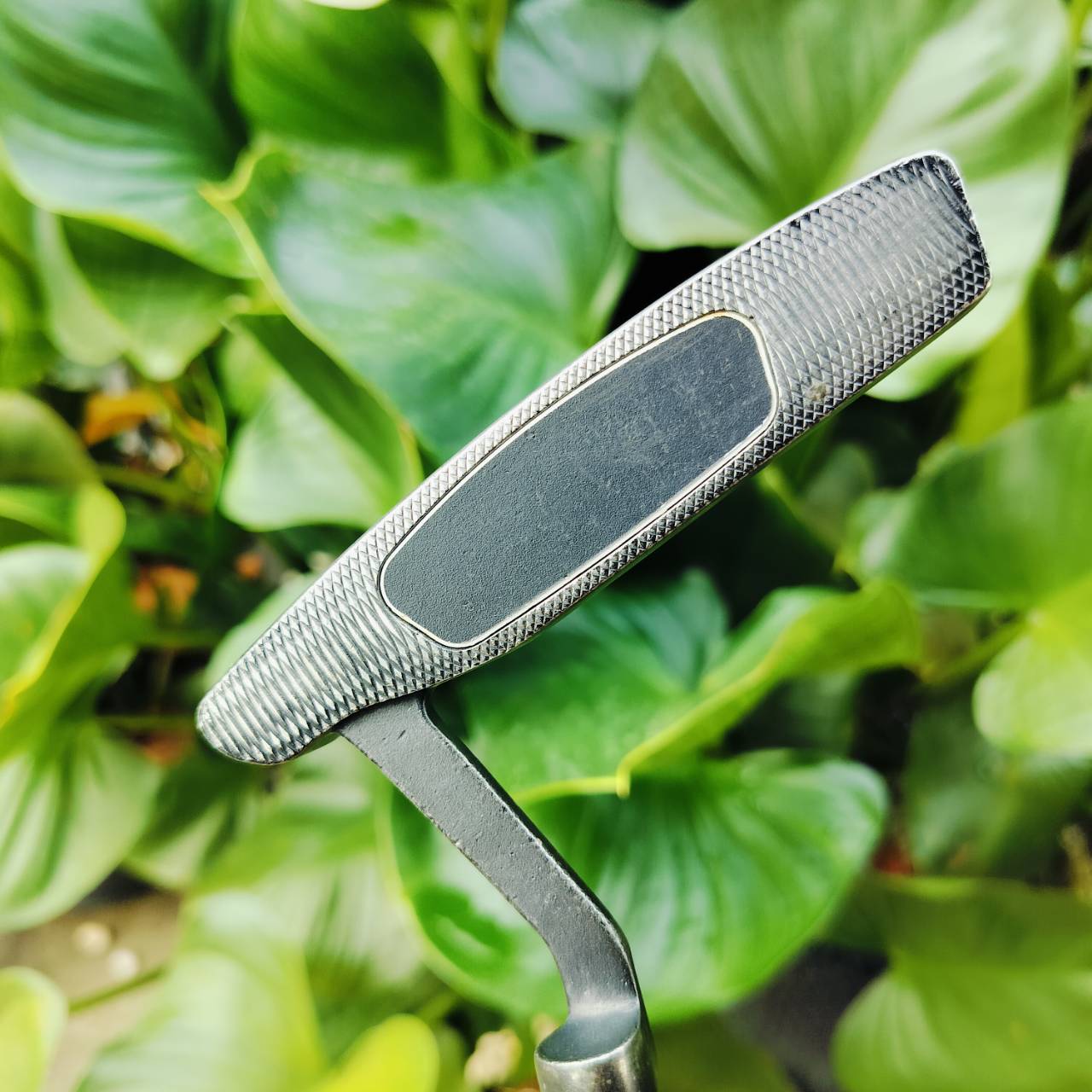 PUTTER CLEVELAND VP1 ความยาว 34 นิ้ว ทรงสตูดิโอ พัตต์ง่ายๆ หน้าสัมผัสดีมากๆ ไม้กอล์ฟพรีเมี่ยมมือสอง ของแท้ By NakaraLuxurious