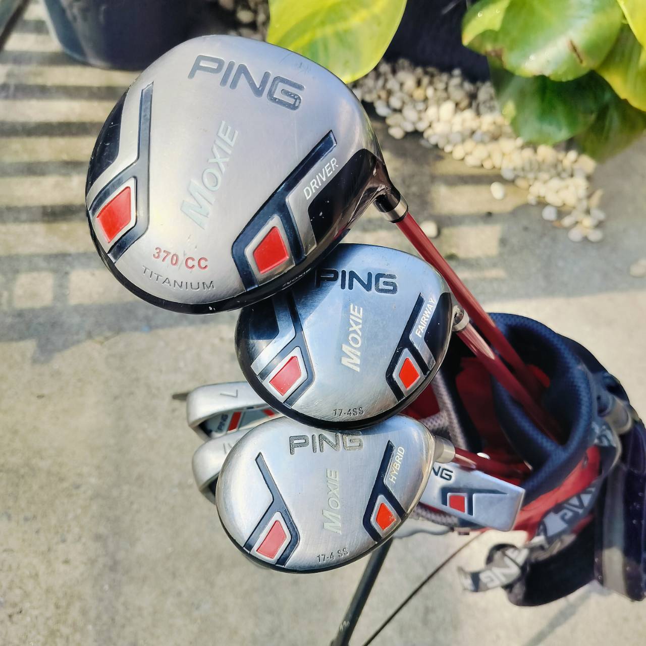 ไม้กอล์ฟเด็กพรีเมี่ยมครบชุด PING MOXIE พร้อมถุงขาตั้ง ของแท้ เดิมๆ COVER ครบ เหล็ก 7 ยาว 33 นิ้ว ค่ะ ไม้กอล์ฟพรีเมี่ยมมือสอง ของแท้ By NakaraLuxurious