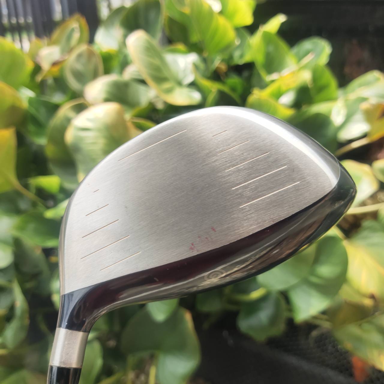 Driver Cleveland Ti460 มือสอง – เสียงแน่น ไกล คุ้มราคา!! สำหรับสายตีตรง ไกล ไม่ต้องจ่ายแพง