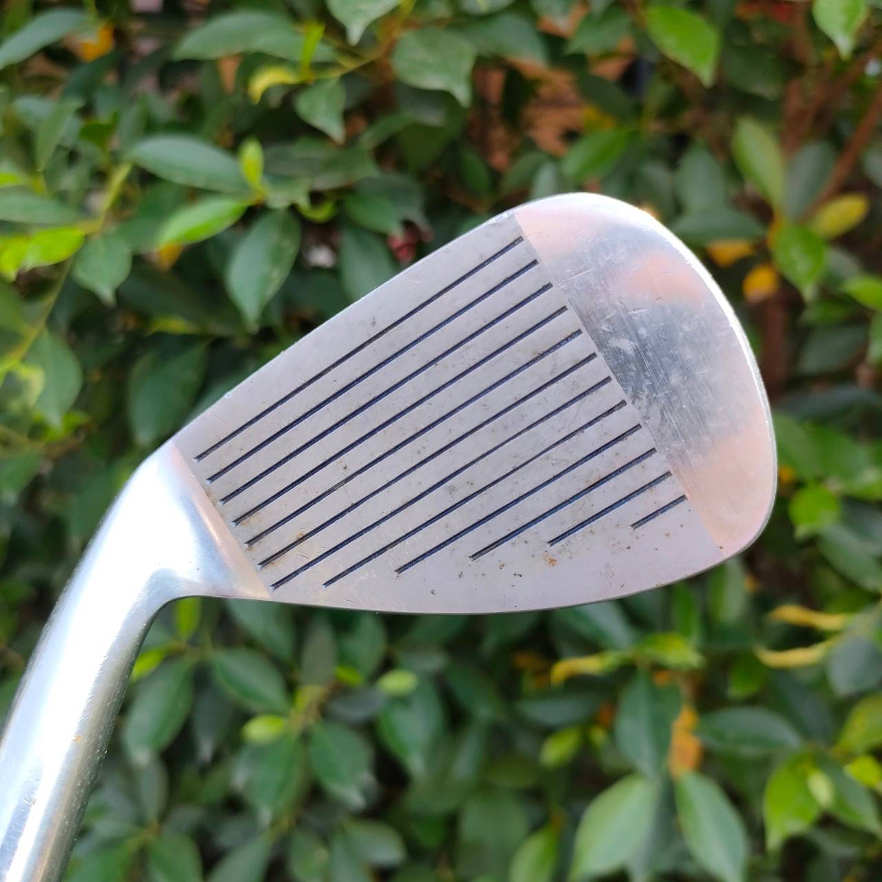 ** ไม้กอล์ฟสำหรับผู้หญิง ** เหล็ก7 BETYG KING FORGED CAVITY LADY ก้าน LIGHT LADIES ORIGINAL