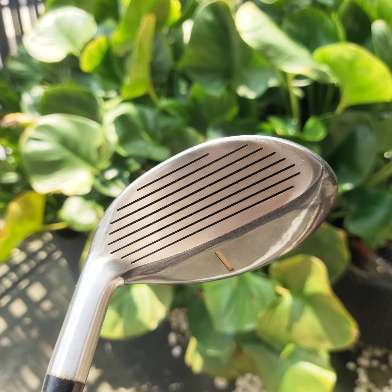 ชุดเหล็กแบบไฮบริดทั้งชุด Thomas Golf AT705 ตีง่ายมากที่สุด สปีดไม่แรง ไม่มีเวลาซ้อม ก็ตีดีมาก