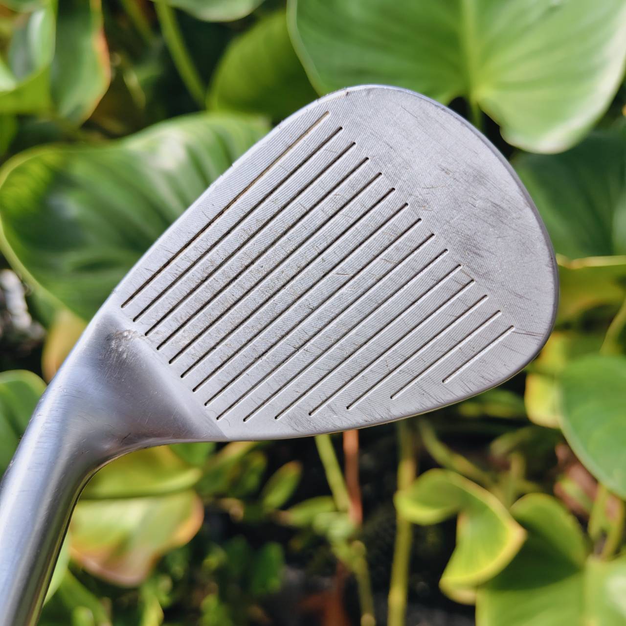 WEDGE PING TOUR-W – 54° | Bounce 10° ความแม่นยำรอบกรีนที่คุณต้องลอง!