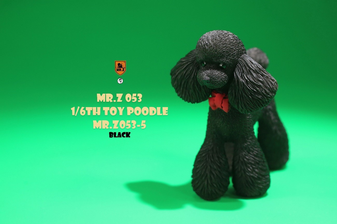 [สั่งจอง]Mr.Z MRZ053 animal model 1/6 : Toy Poodle