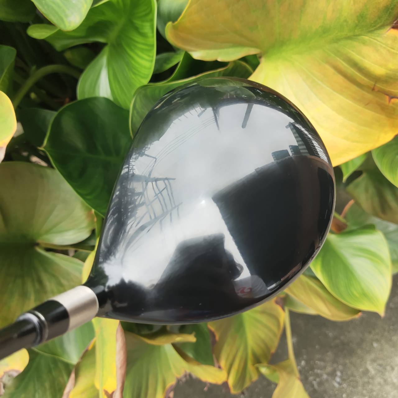 Driver ROYAL COLLECTION BBD'S 104T หนึ่งในหัวไม้ไดรเวอร์ระดับสุดยอดของญี่ปุ่น