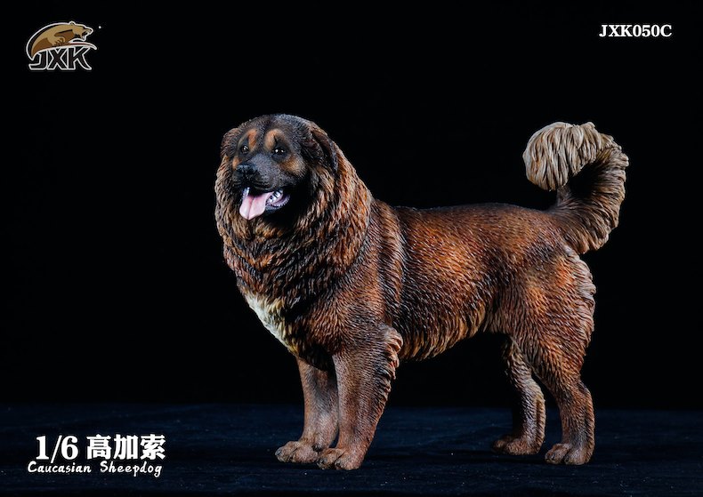 [สั่งจอง]JXK JXK050 1/6 : Caucasian Sheepdog