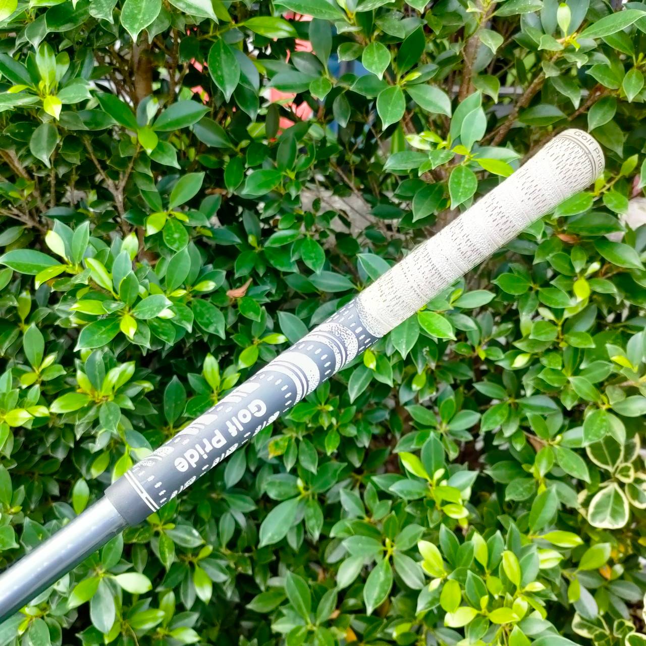 DRIVER KING COBRA L5V ก้าน DIAMANA FLEX R องศา 10.5 *** แค่ก้านก็เกินคุ้มแล้วครับ *** ก้านอย่างเดียวใหม่ๆเป็นหมื่น!!! หัวใหญ่ COBRA เน้นไม้ที่ตีง่าย ช่วยรีดพลังออกมา ช่วยเพิ่มระยะมากๆ