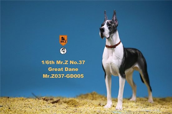 [สั่งจอง]Mr. Z Animal Model No.37: 1/6th The German Great Dane(all 6 colors)