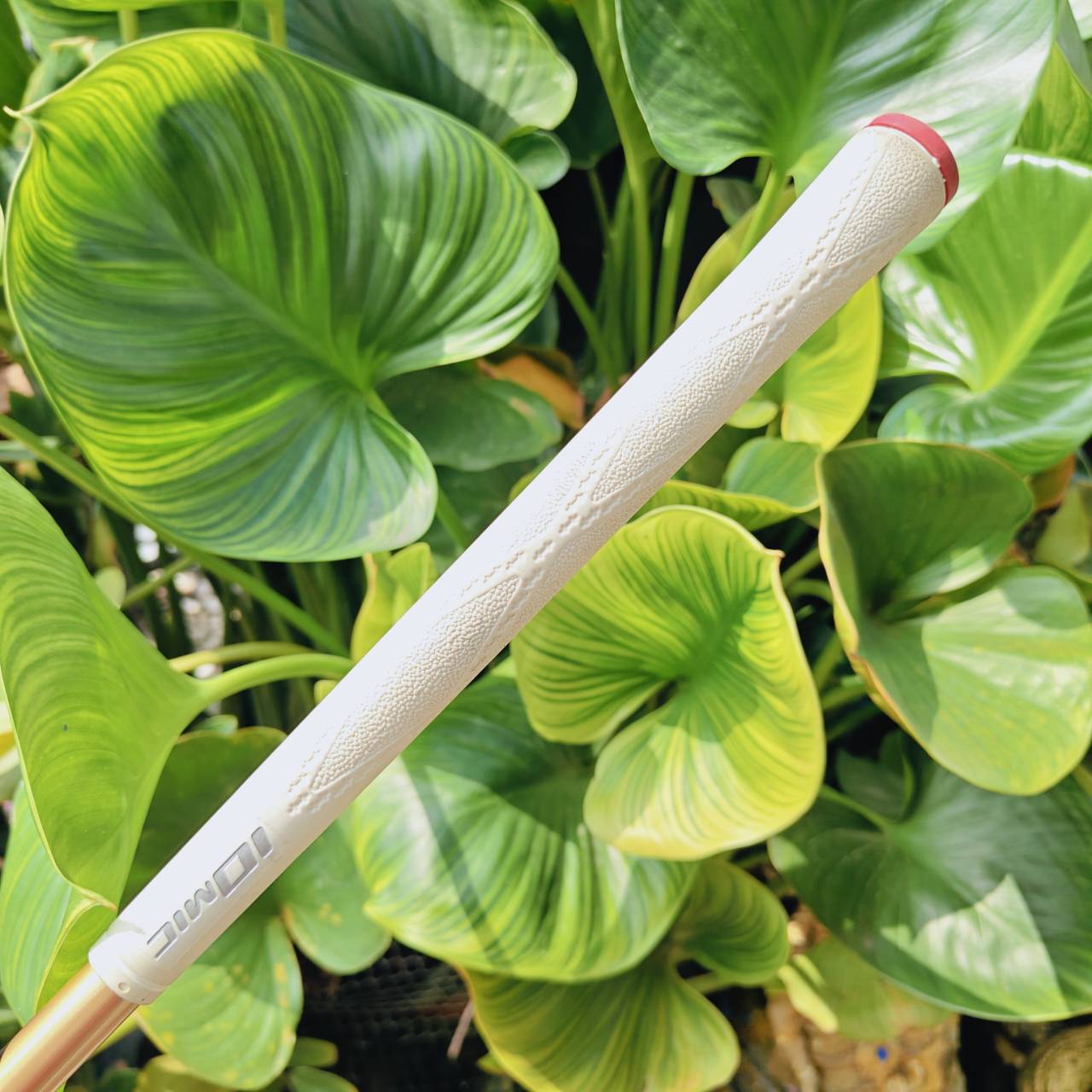 ก้านใส่ FW HONMA ARMRQ B49 ★★★ – ก้านระดับตำนานจาก SAKATA, JAPAN