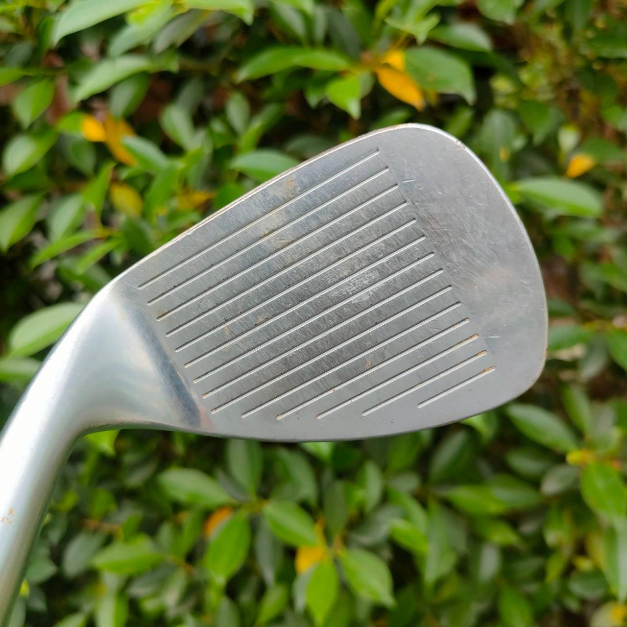 WEDGE P/S BRIDGESTONE TP520 องศา 52 เนื้อวัสดุ FORGED JAPAN ก้าน DYNAMIC GOLD S400