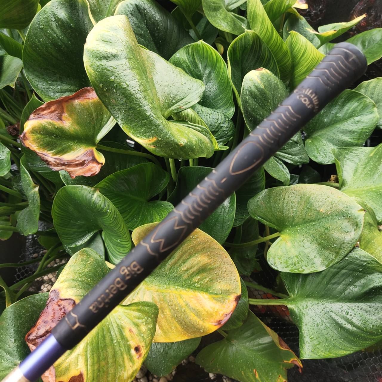 SW Callaway BIGBERTHAR TOURSERIES ระเบิดทรายง่ายมาก เพราะมี CAVITY แต่ใบดูบางมาก จรดลูกแล้วน่าตีมาก