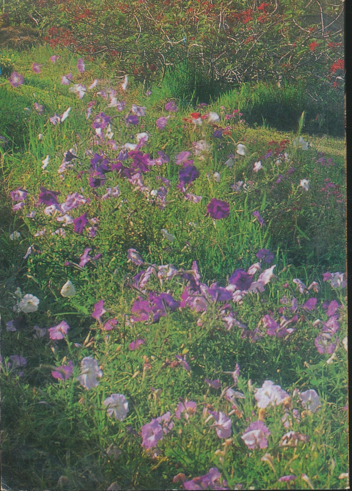 เบญจศีล-เบญจธรรม