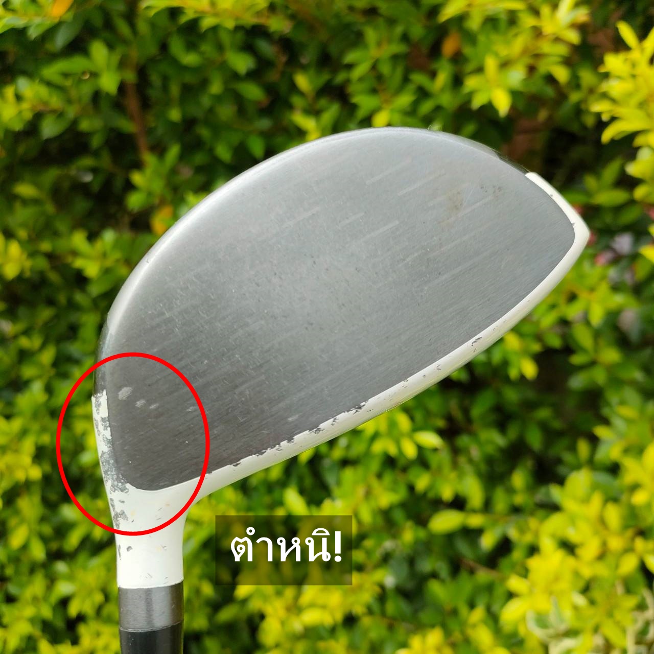 ** ไม้กอล์ฟสำหรับผู้หญิง ** DRIVER ELORD CX 470V องศา 11.5 ก้าน ELORE FLEX L หัวใหญ่ 470 CC. ทำให้ตีง่ายขึ้น!!! สวีตสปอตกว้าง หน้าเด้งมาก!!! COR สูงที่สุด!! ไม้กอล์ฟมือสอง ของแท้ BY NakaraLuxurious