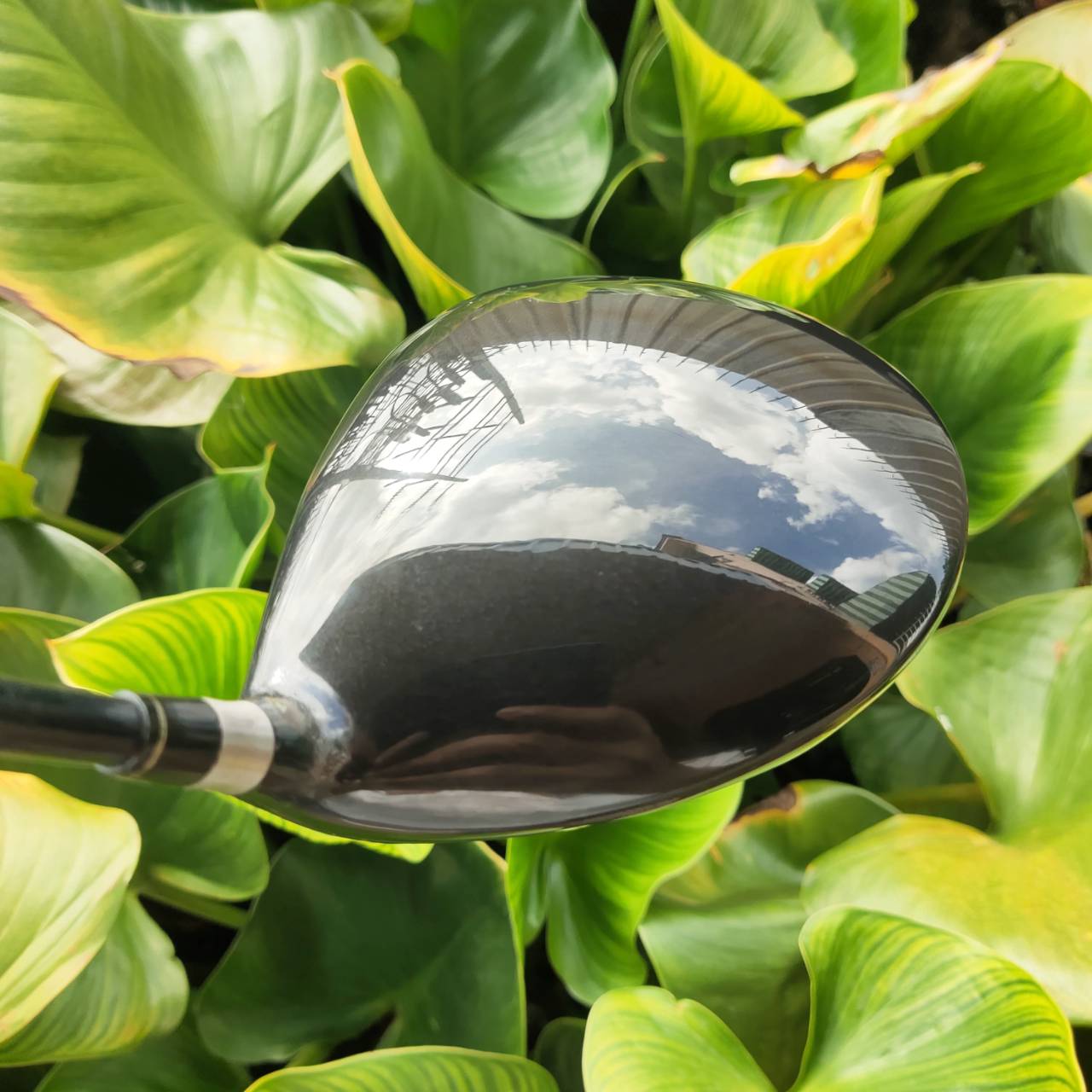 Driver Cleveland Launcher SL290 น้ำหนักรวมเพียง 290 กรัม ตีลื่น ระยะดีมาก ตีง่าย ตีตรง คุมง่าย