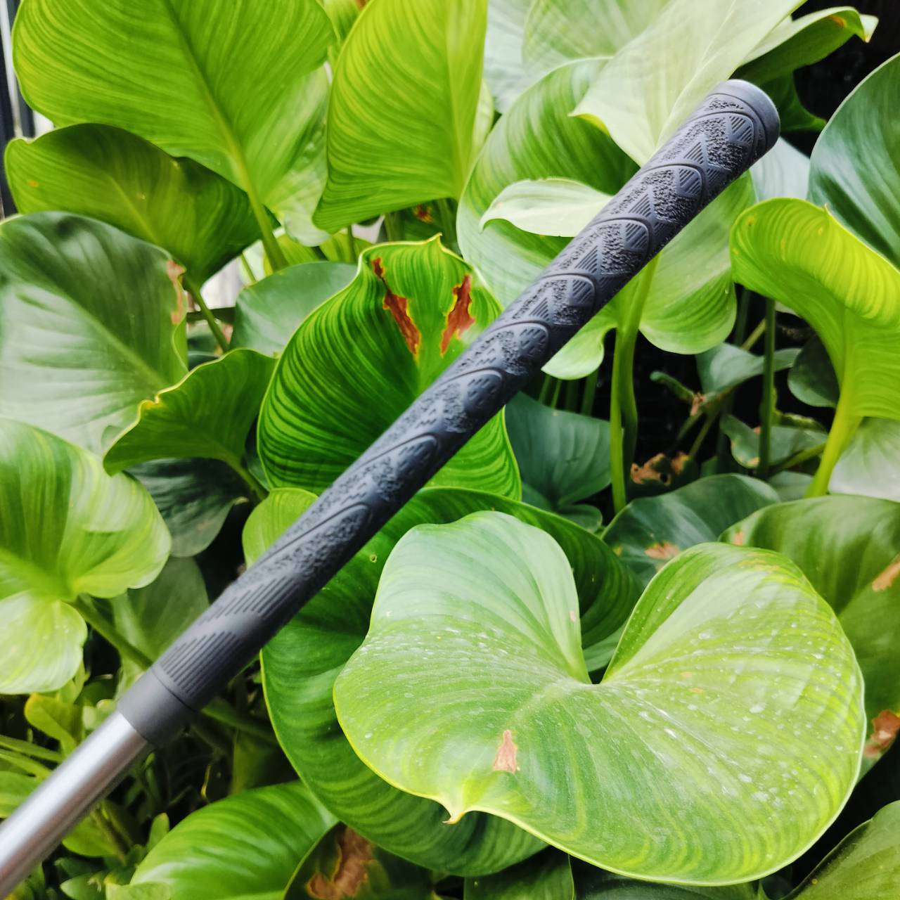 *** ไม้กอล์ฟสำหรับผู้หญิง *** FW5 MARUMAN EXIM NANO II เป็น FW หน้าเด้ง MARAGING ตีง่าย ก้านเบา ตีสบาย ตีได้ระยะมาก ไม้กอล์ฟพรีเมี่ยมมือสอง ของแท้ By NakaraLuxurious