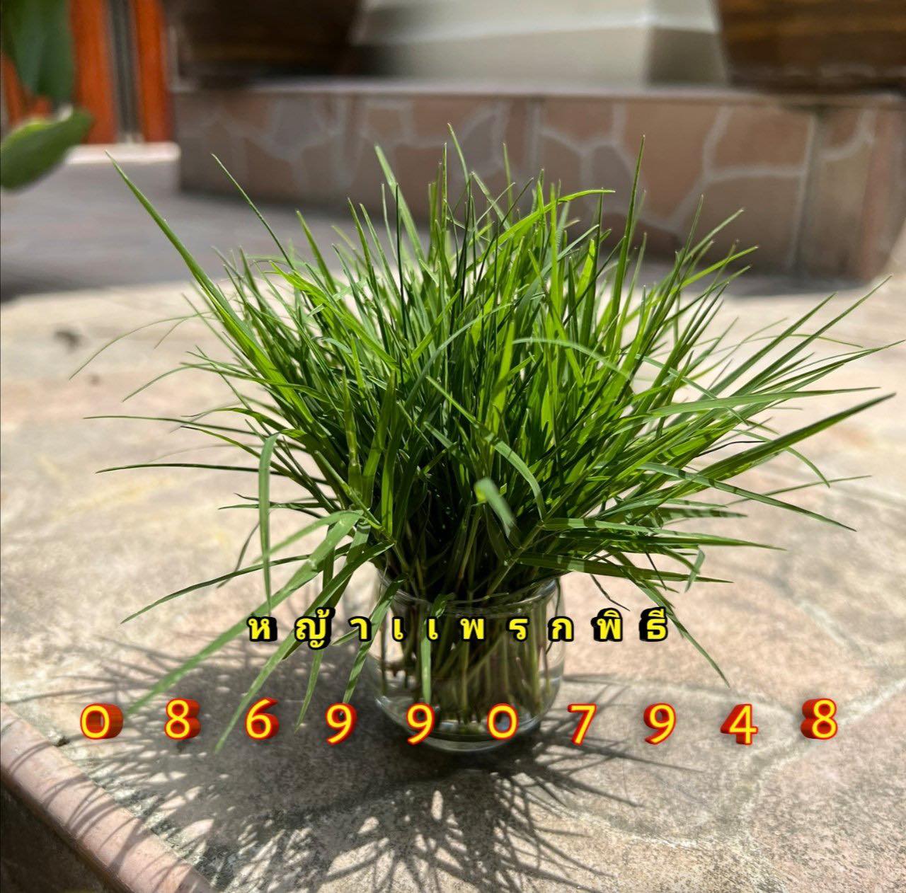 ใบไม้มงคล (พิธี)