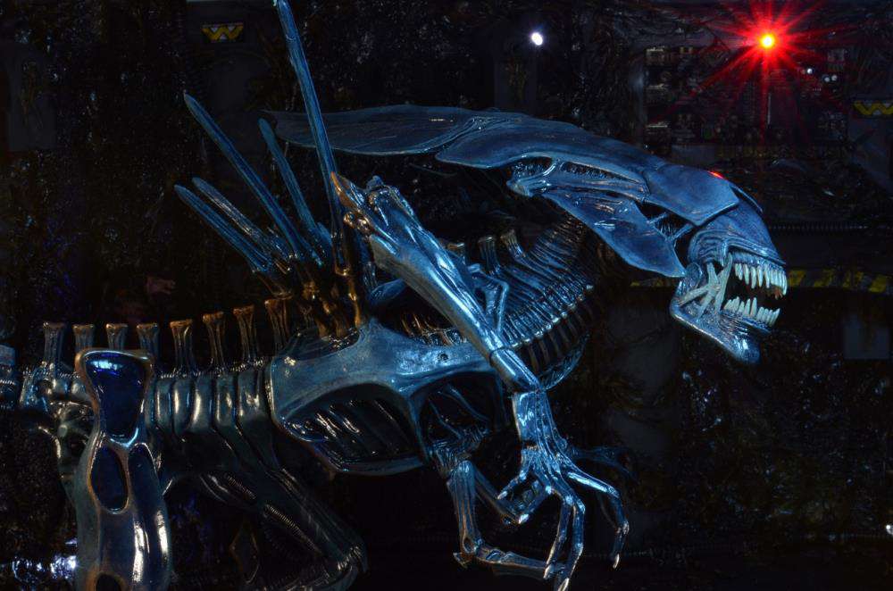 [สั่งจอง] Neca : Alien [Reissue]