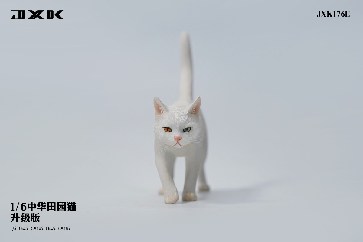 [สั่งจอง] JXK JXK176 1/6 : Felis Catus