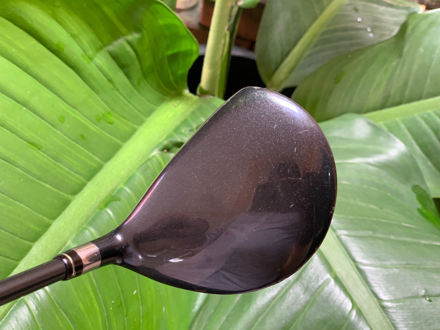 FAIRWAY 7 PRGR 513 ER