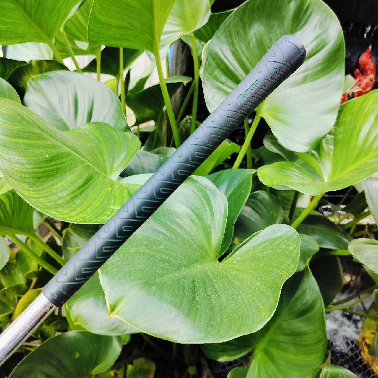 SAND WEDGE MIZUNO องศา 56 ก้าน MIZUNO SPEACIAL FLEX R สภาพเดิมๆทุกอย่างเลยค่ะ ร่องสวย ไม้กอล์ฟพรีเมี่ยมมือสอง ของแท้ By NakaraLuxurious