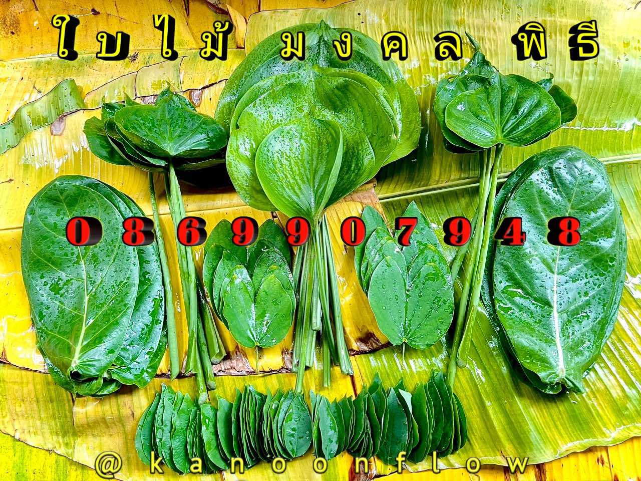 ใบไม้มงคล (พิธี)