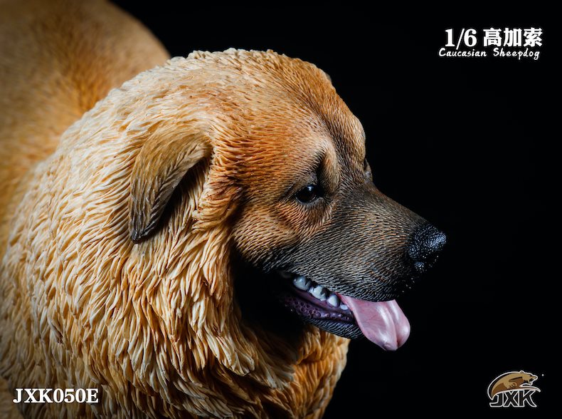 [สั่งจอง]JXK JXK050 1/6 : Caucasian Sheepdog