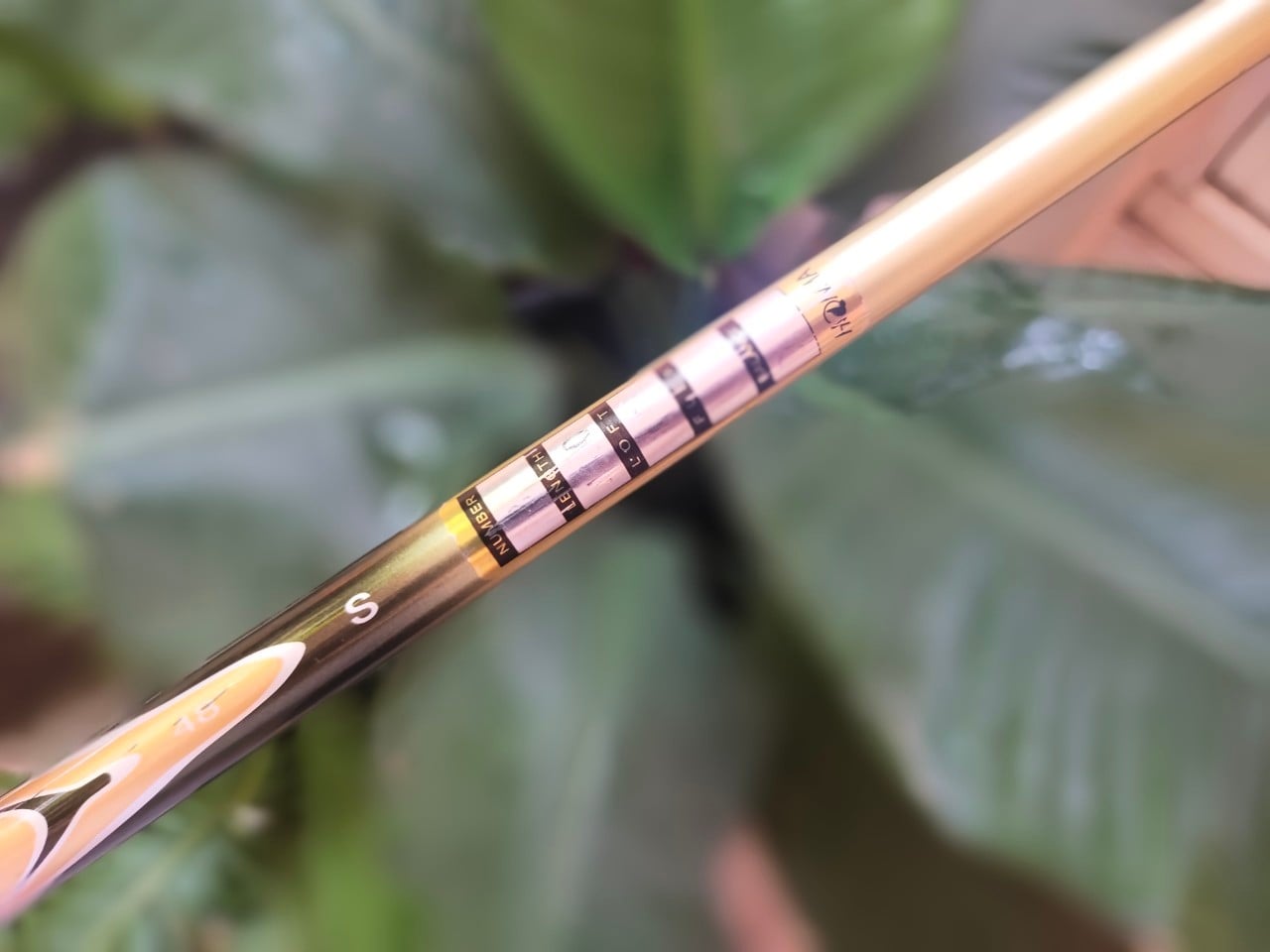 FW 3 HONMA BERES S-05