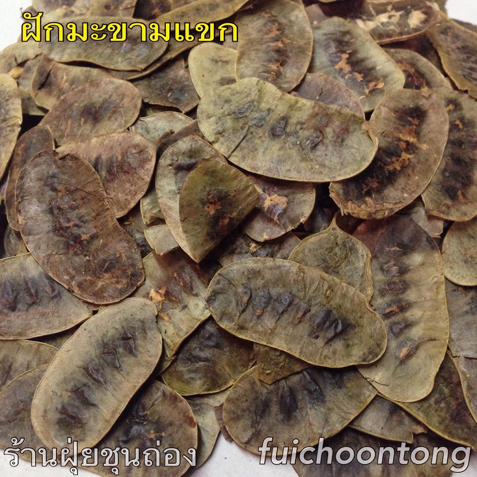 ฝักมะขามแขก