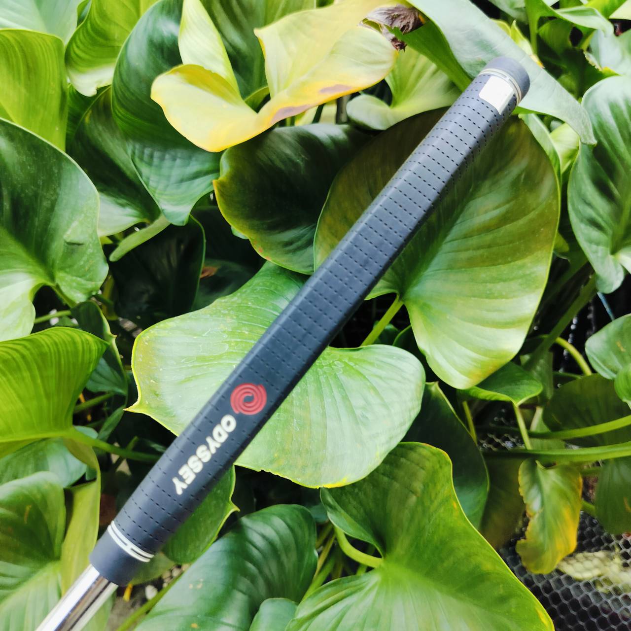 PUTTER ODYSSEY DFX 1100 ความยาว 34 นิ้ว ทรงมอลเล็ต ชดเชยความผิดพลาดสูง พัตต์ง่าย หน้าสัมผัสนุ่มและเกาะไลน์มาก ไม้กอล์ฟพรีเมี่ยมมือสอง ของแท้ By NakaraLuxurious