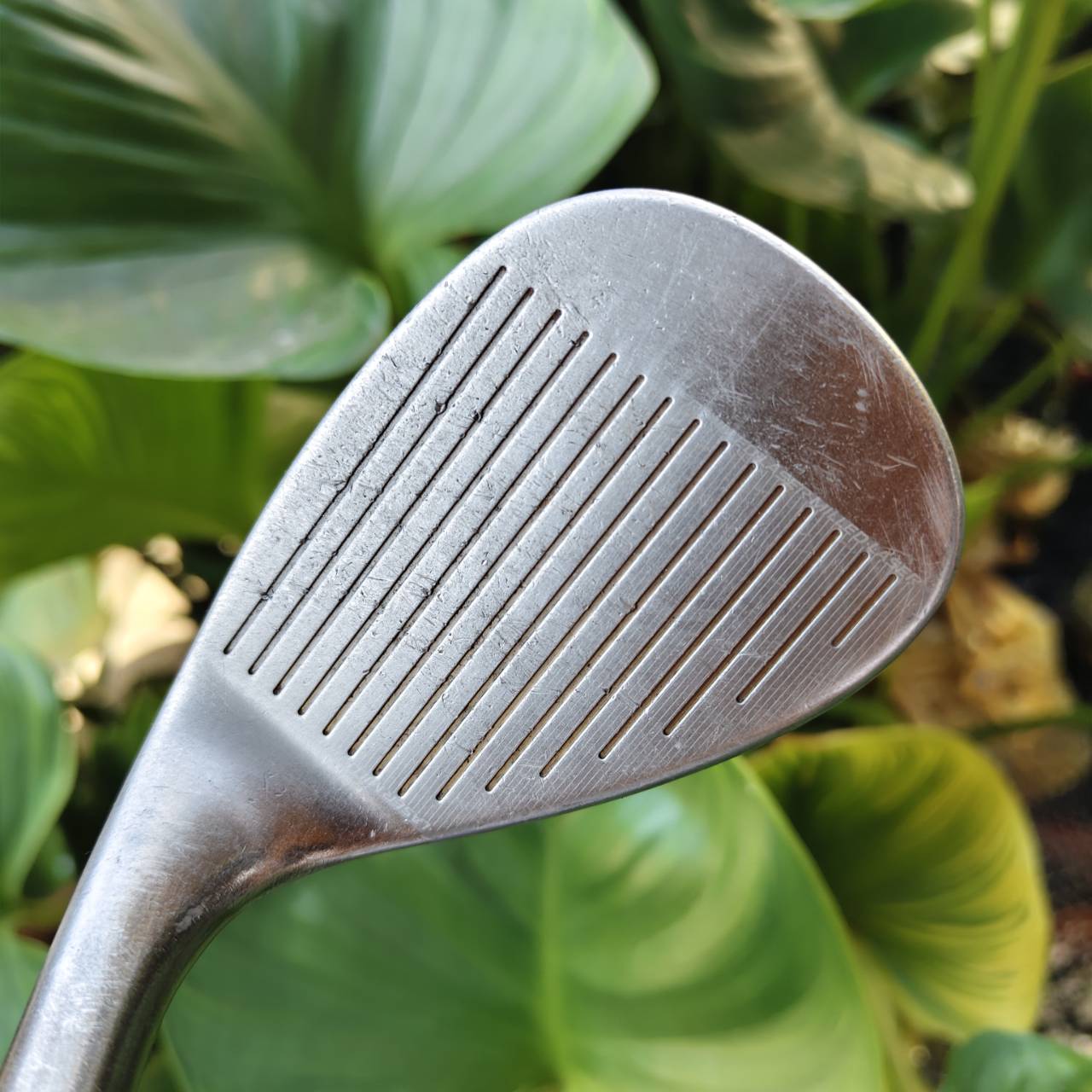 WEDGE CLEVELAND CG15 🔥 องศา 60° | ร่อง ZIP GROOVE สปินจัด! ความแม่นยำและการควบคุมลูกกอล์ฟรอบกรีน