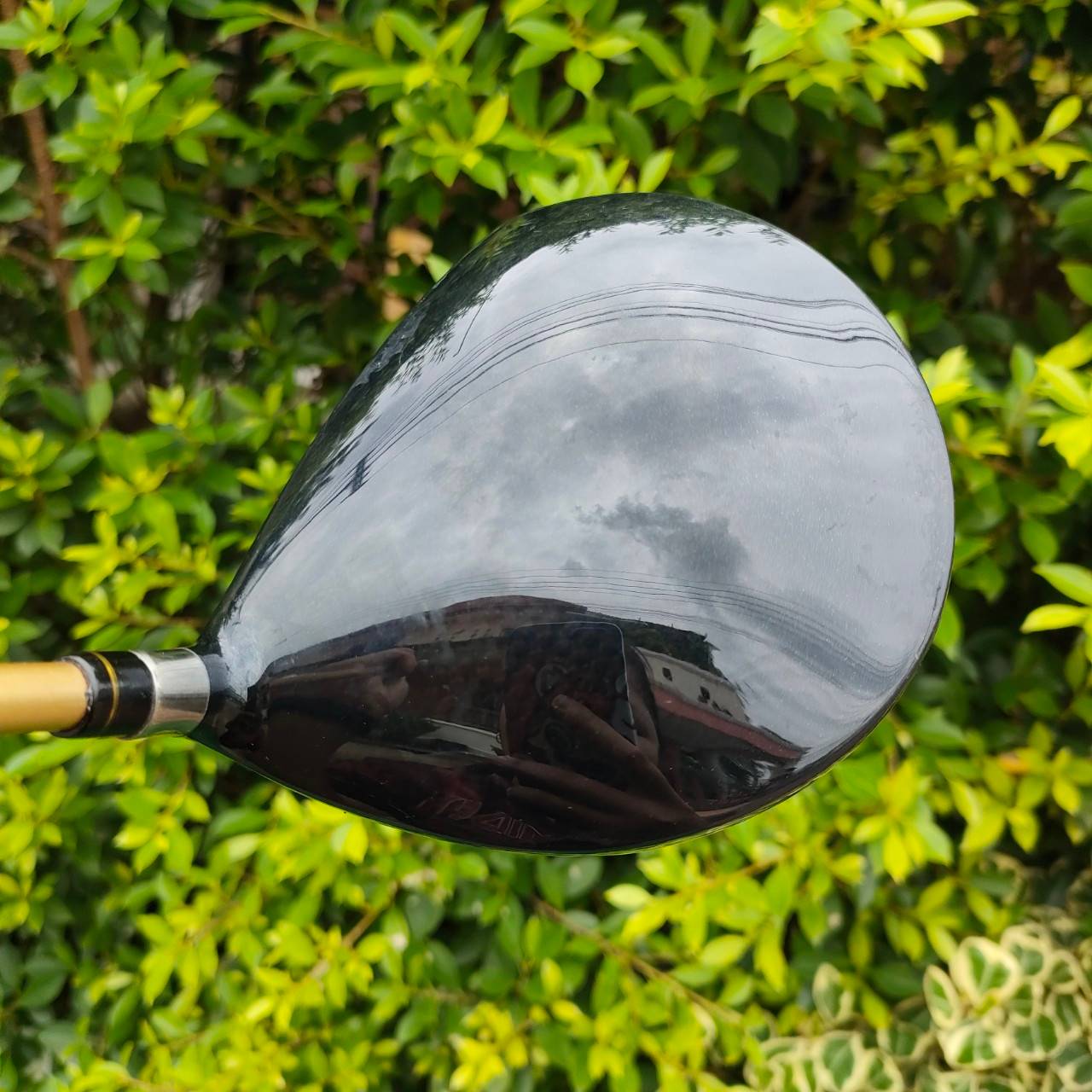 DRIVER YONEX CYBERSTAR NANO V 450D องศา 10 ก้าน EXCEED ED400 FLEX SR