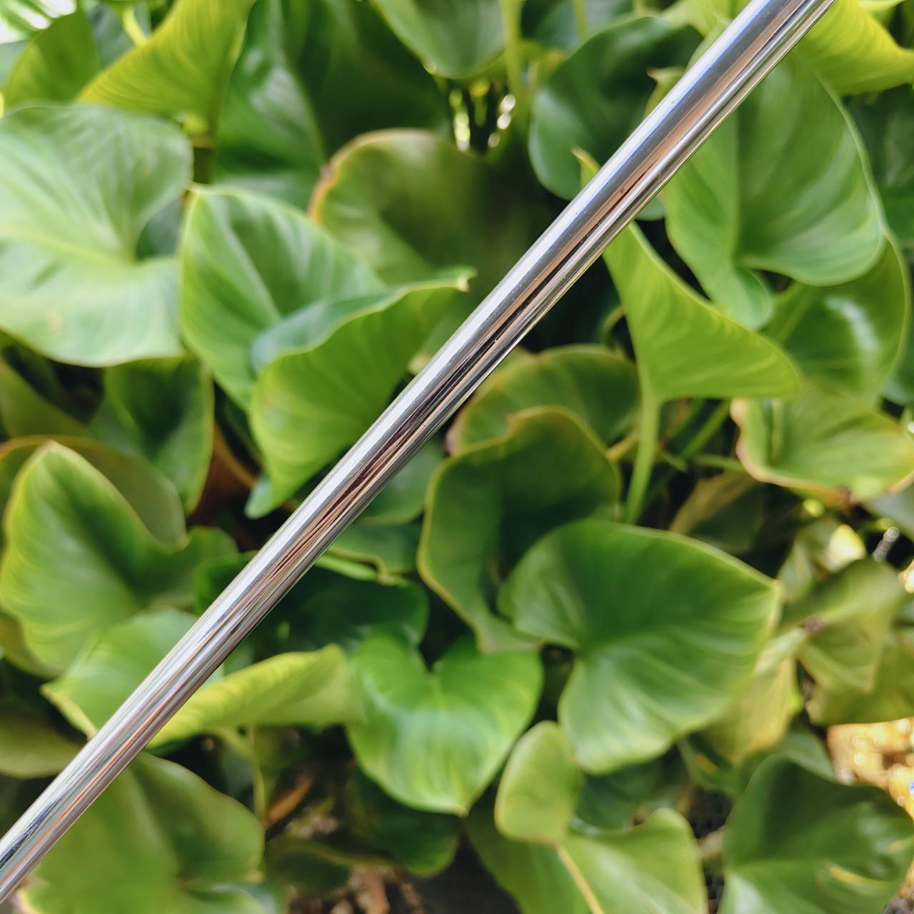 Putter Odyssey White Hot #4 (Mallete Style) — ช่วยให้จัดแนวง่าย ลดการสะบัดของมือ