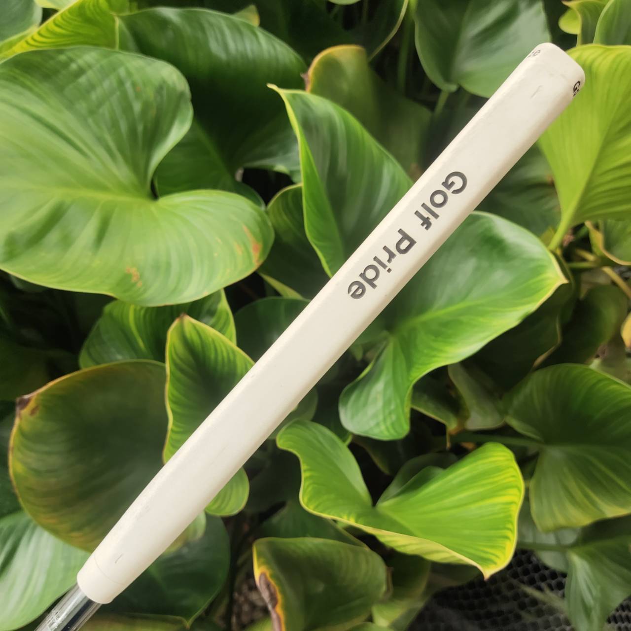 PUTTER ODYSSEY TWO-BALL WHITE HOT XG ฟีลนุ่มนวล ลายหน้าไม้ เกาะไลน์มาก