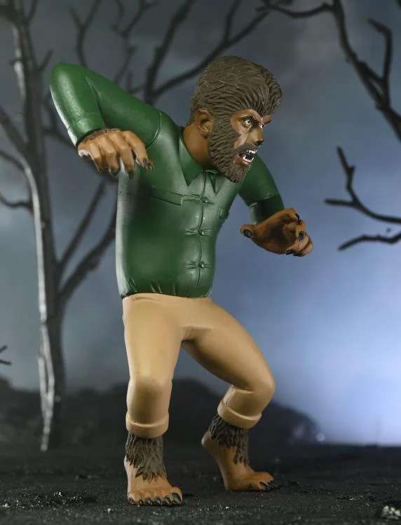 [พร้อมส่ง] NECA Universal Monster : Toony Terrors Series 10 Asst (Dracula, Frankenstein, Wolf Man, Mummy)