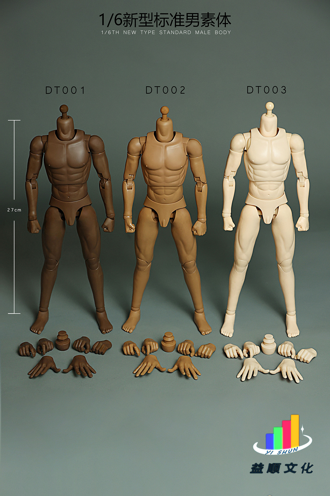 [สั่งจอง] Yishun Culture 1/6 : Male body standard